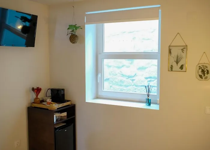 Adega Floresta Apartment Porto