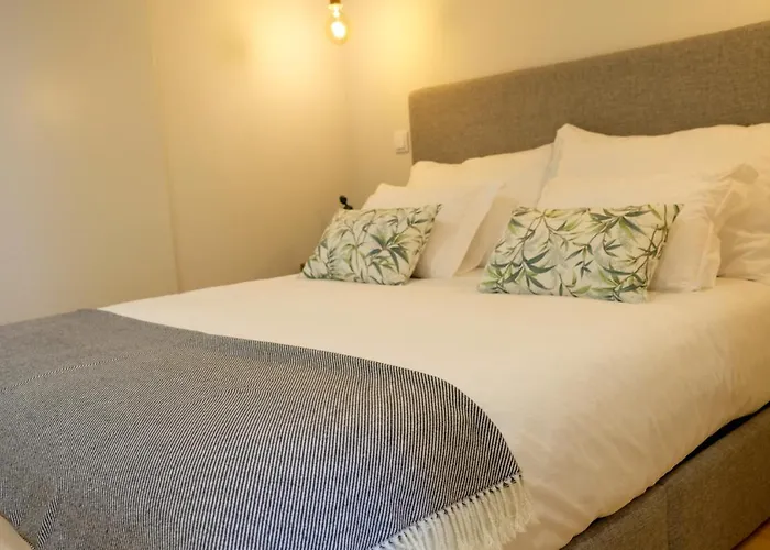 Apartamento Adega Floresta Porto