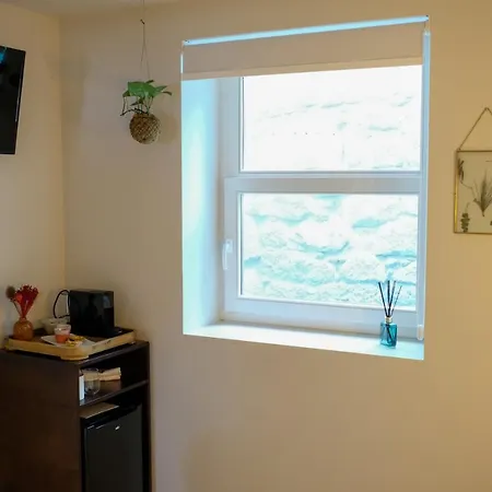 Adega Floresta Apartamento Oporto